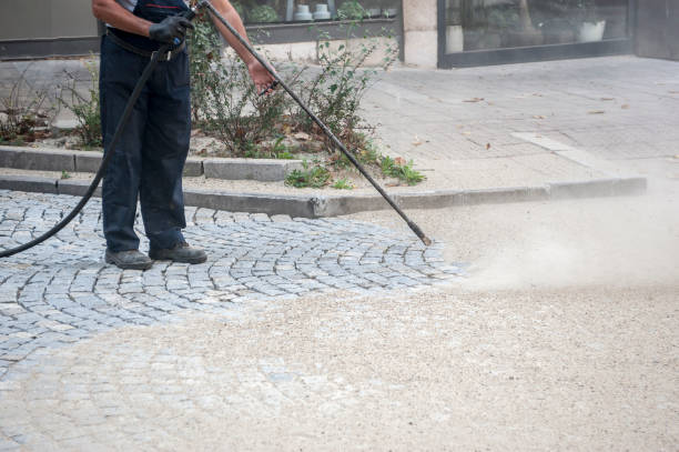 Best Pre-Holiday Cleaning  in Myrtle Grove, NC